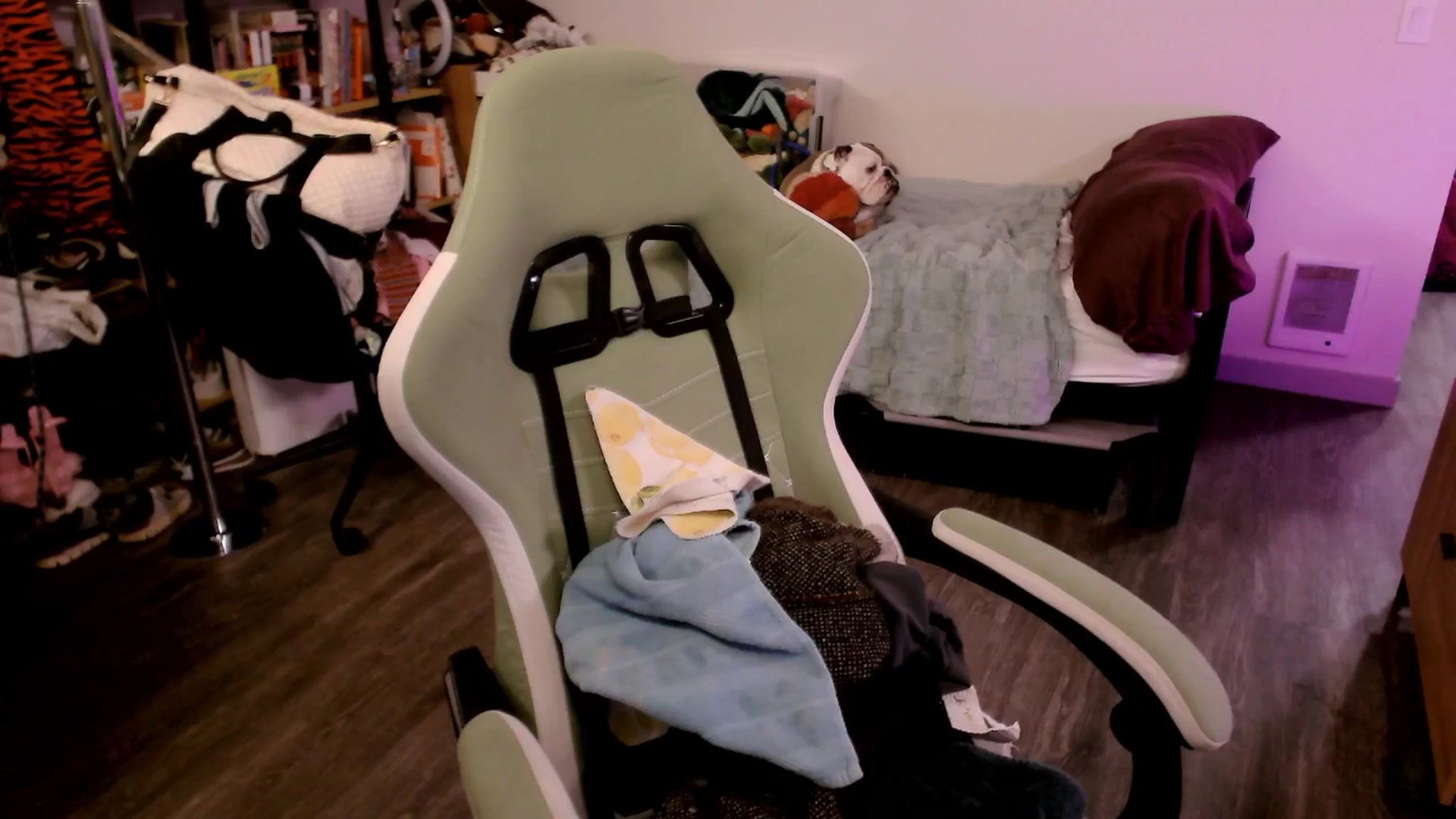 Gallery image thumbnail from ToniTigresse's myfreecams stream on, 09/30/2025, 02:42 image 3 of 20
