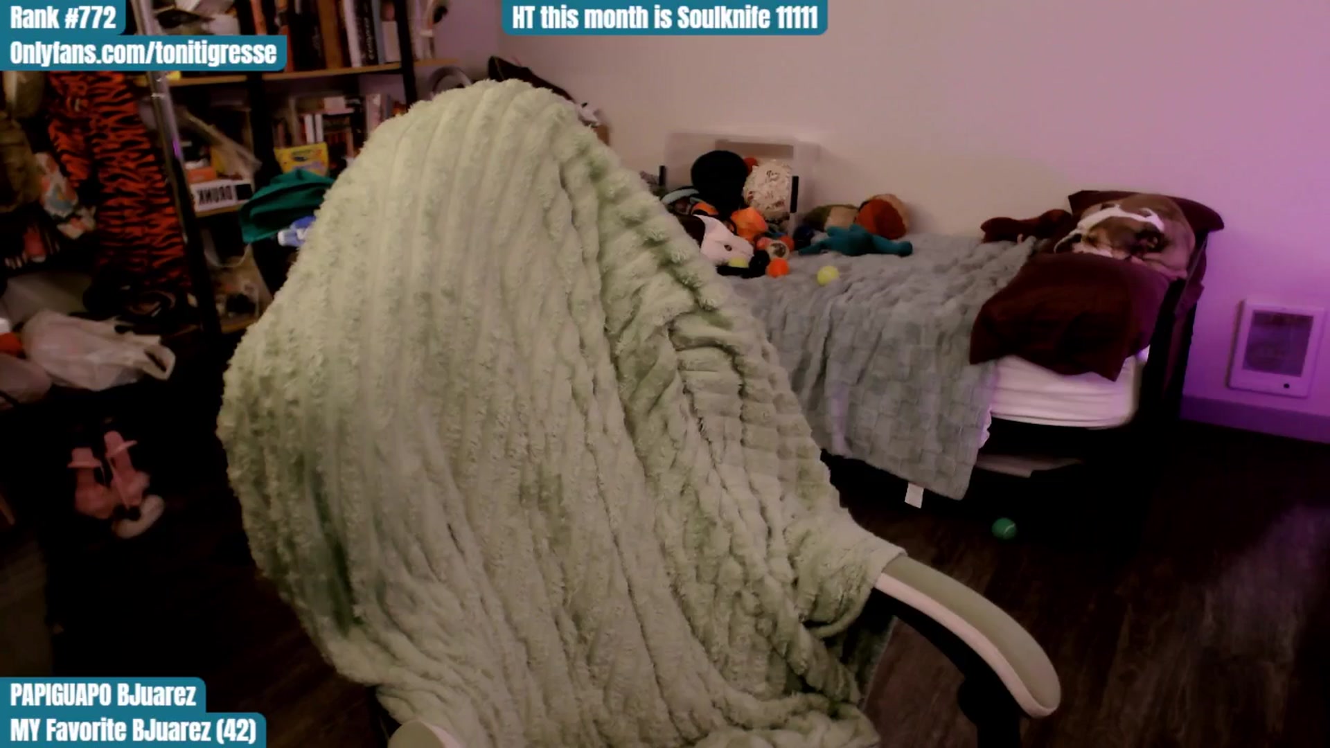 Gallery image thumbnail from ToniTigresse's myfreecams stream on, 10/01/2025, 01:58 image 14 of 20
