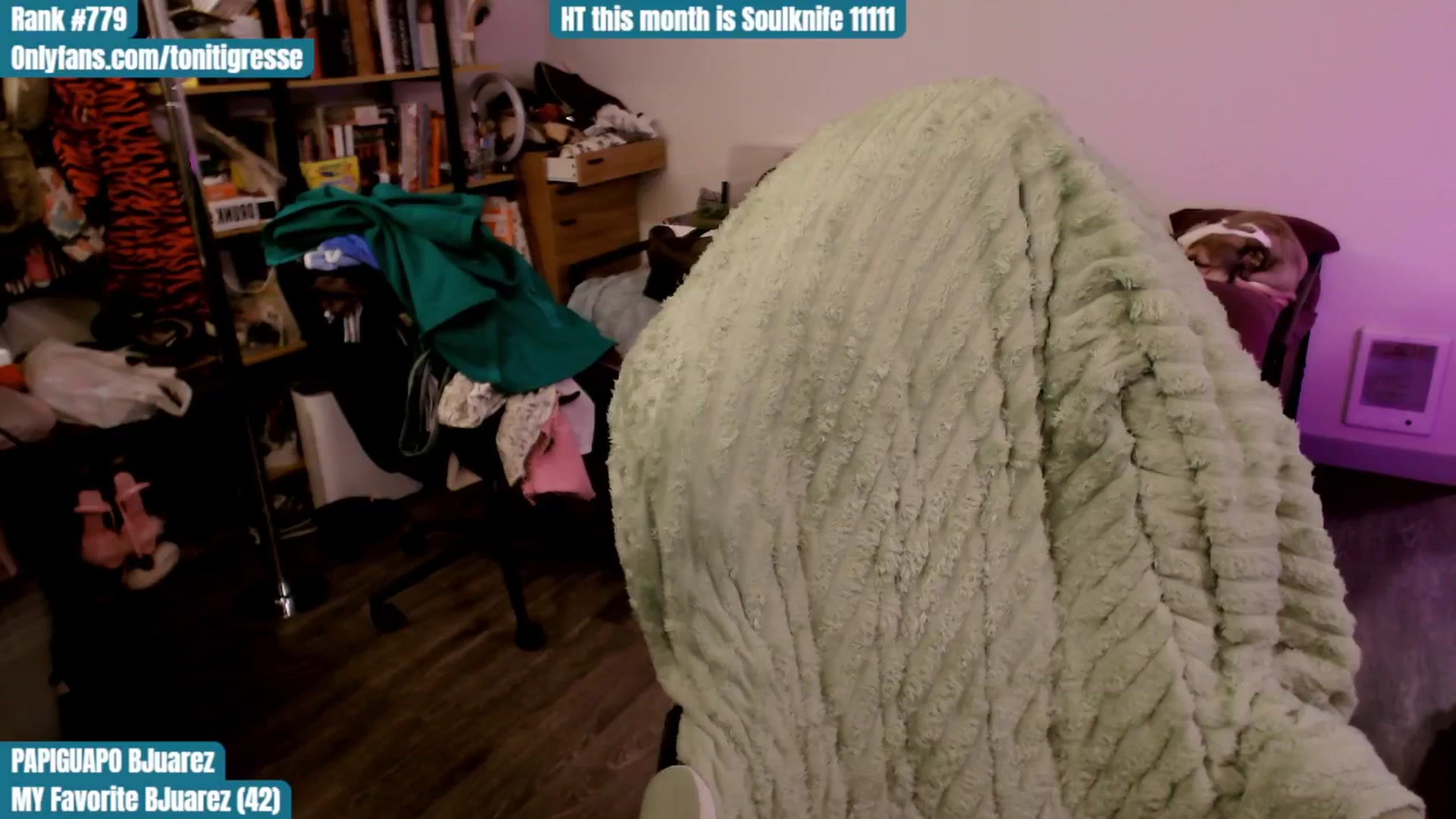 Gallery image thumbnail from ToniTigresse's myfreecams stream on, 10/01/2025, 01:58 image 11 of 20