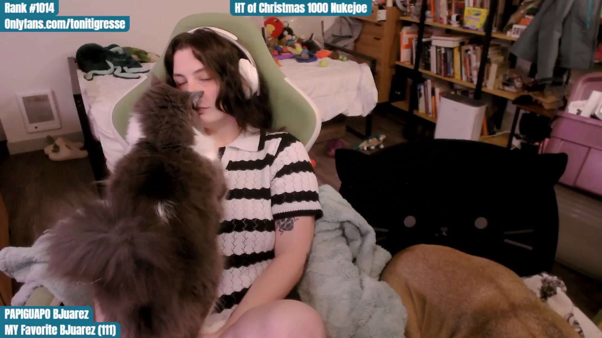 Gallery image thumbnail from ToniTigresse's myfreecams stream on, 12/09/2025, 24:29 image 14 of 20