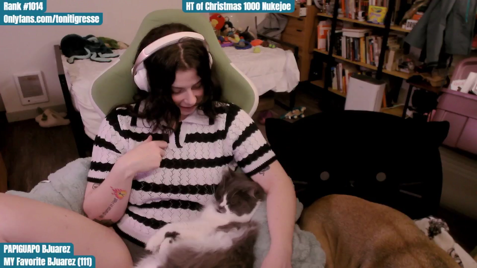 Gallery image thumbnail from ToniTigresse's myfreecams stream on, 12/09/2025, 24:29 image 16 of 20
