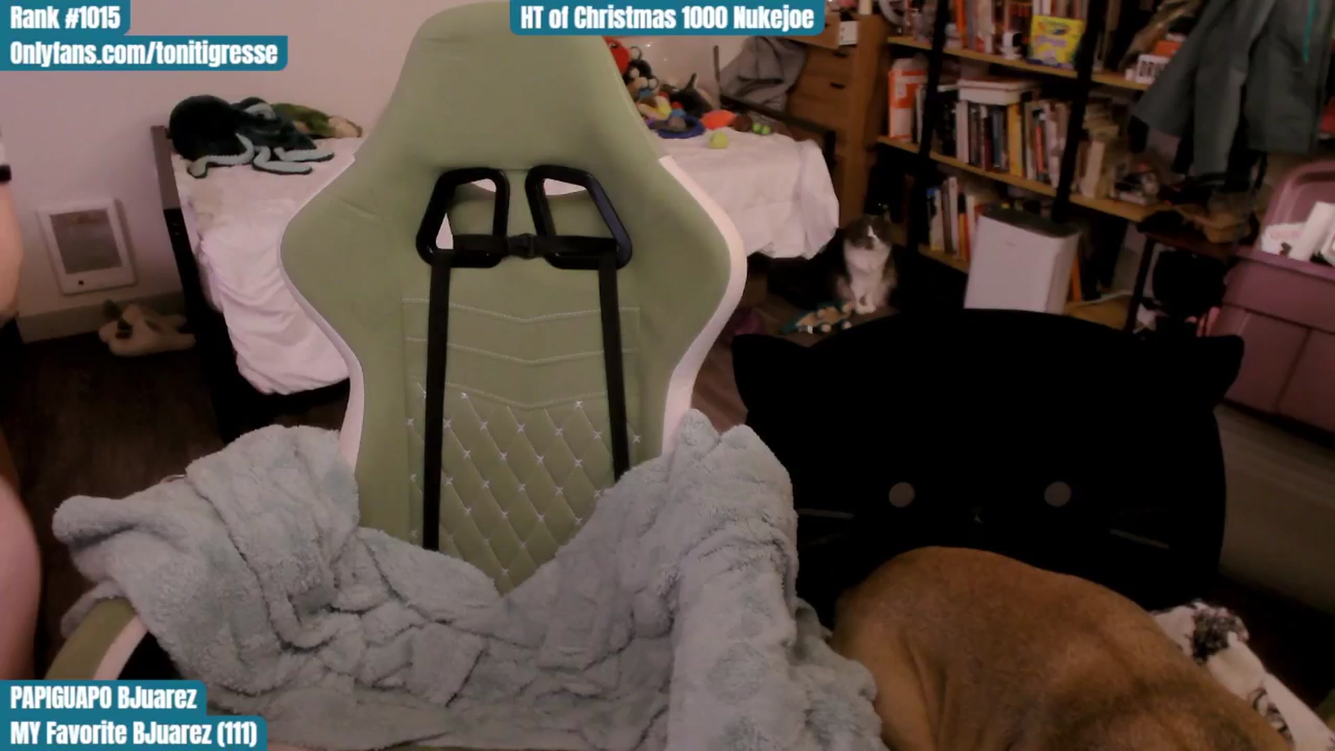 Gallery image thumbnail from ToniTigresse's myfreecams stream on, 12/09/2025, 24:29 image 19 of 20