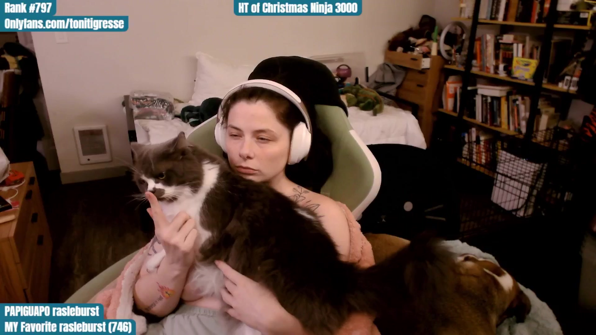Gallery image thumbnail from ToniTigresse's myfreecams stream on, 12/15/2025, 03:34 image 12 of 20