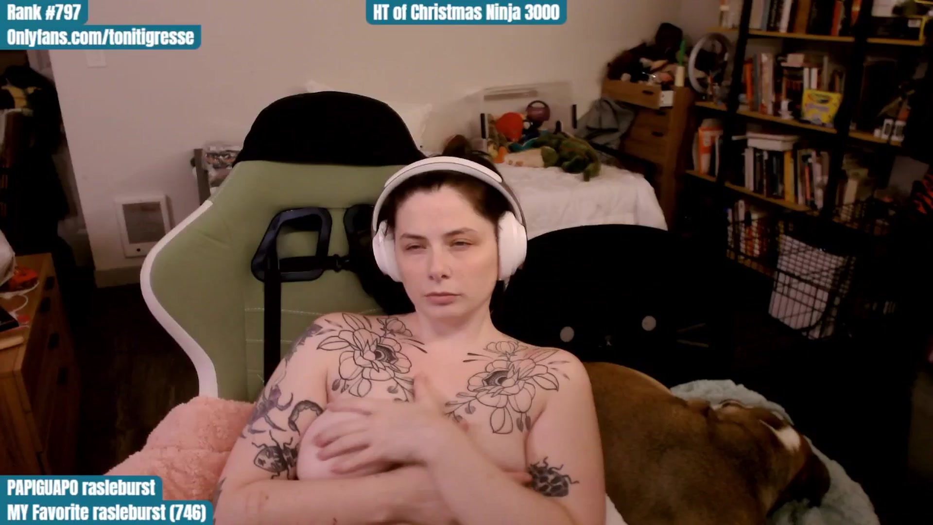 Gallery image thumbnail from ToniTigresse's myfreecams stream on, 12/15/2025, 03:34 image 10 of 20