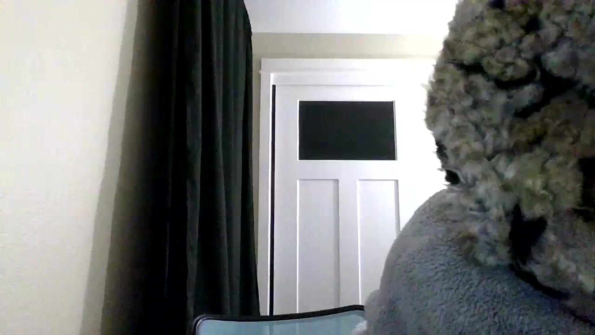Gallery image thumbnail from ToniTime's myfreecams stream on, 01/02/2024, 11:56 image 17 of 20