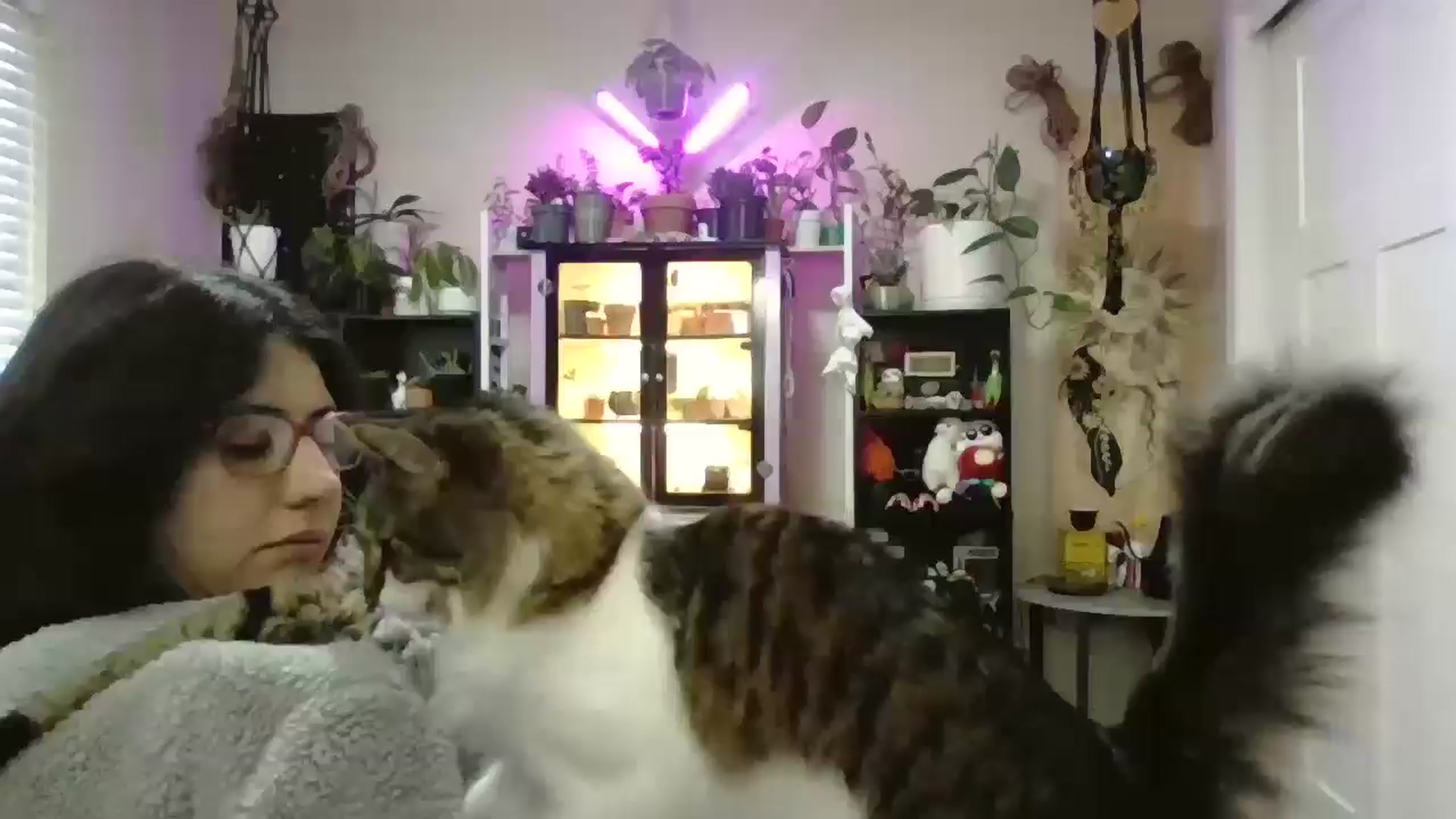Gallery image thumbnail from ToniTime's myfreecams stream on, 09/29/2025, 24:36 image 19 of 20