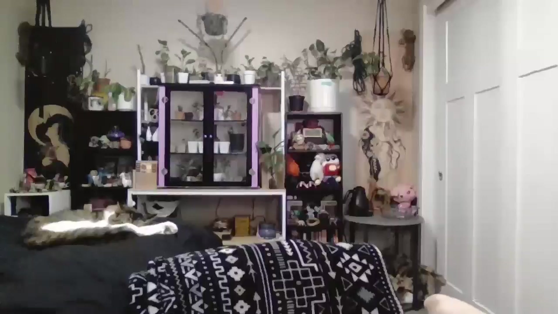Gallery image thumbnail from ToniTime's myfreecams stream on, 12/31/2025, 09:17 image 10 of 20