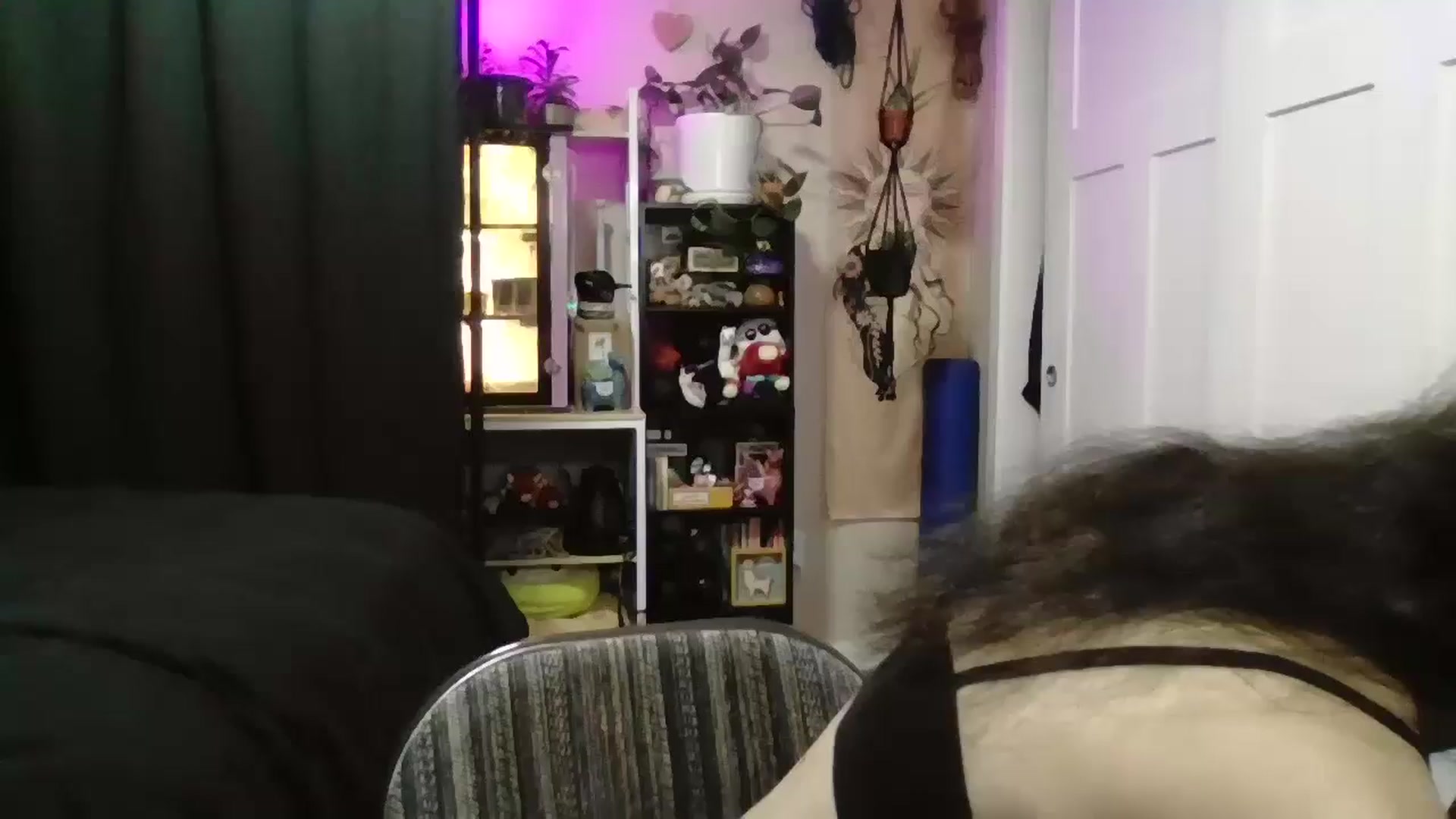 Gallery image thumbnail from ToniTime's myfreecams stream on, 03/16/2026, 18:30 image 1 of 20