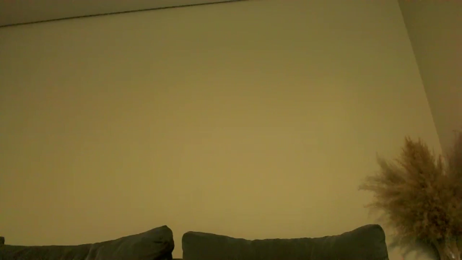 Gallery image thumbnail from TooOld4Sex's myfreecams stream on, 08/26/2024, 05:17 image 3 of 20