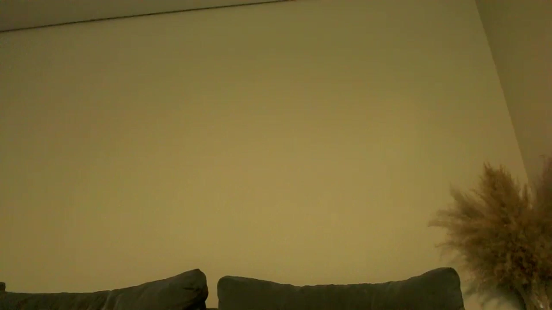 Gallery image thumbnail from TooOld4Sex's myfreecams stream on, 08/26/2024, 05:17 image 2 of 20