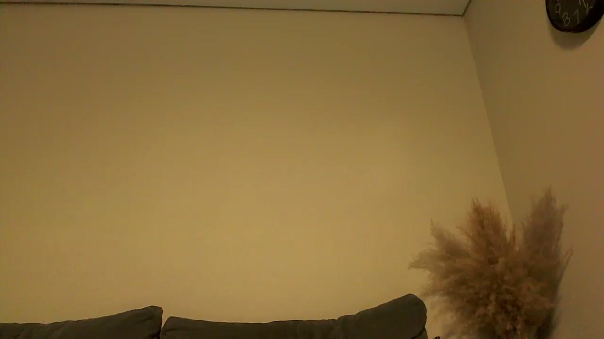 Gallery image thumbnail from TooOld4Sex's myfreecams stream on, 09/10/2024, 04:12 image 6 of 20
