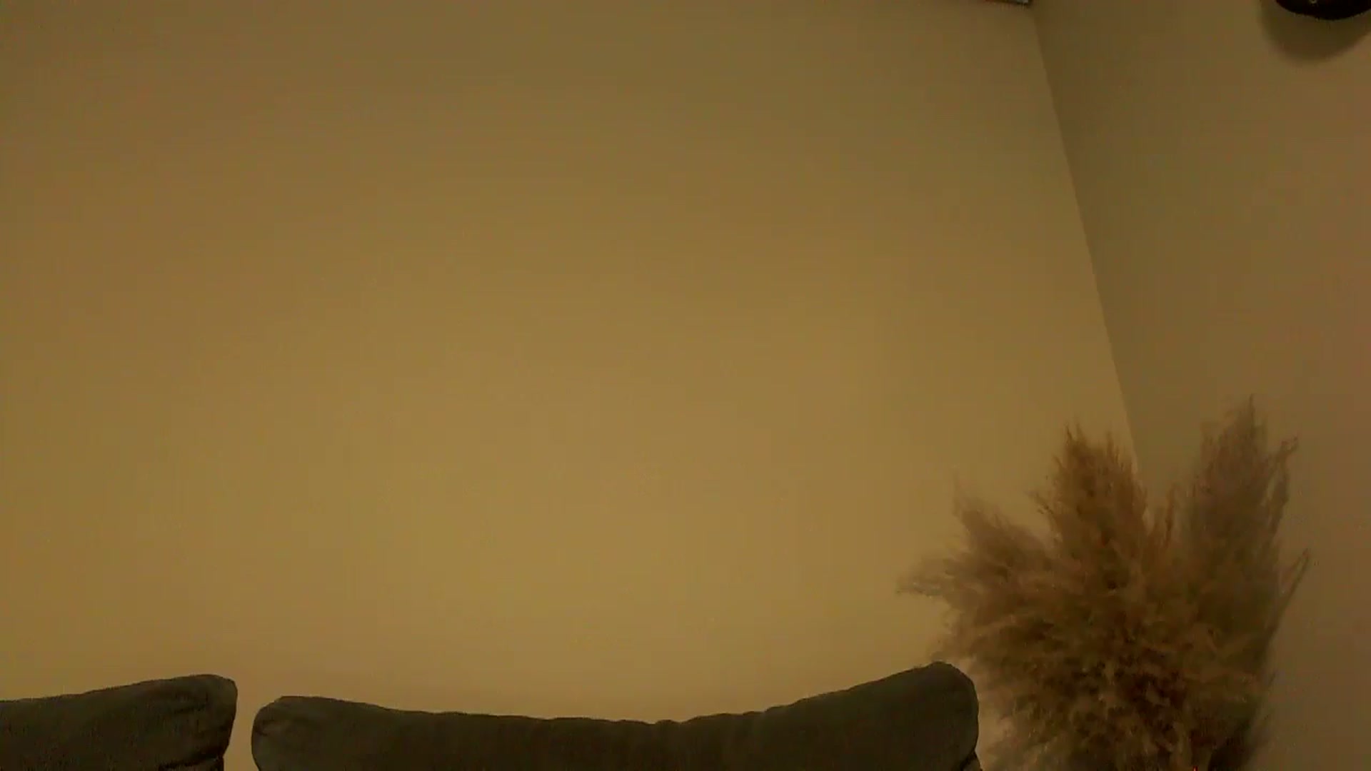 Gallery image thumbnail from TooOld4Sex's myfreecams stream on, 09/25/2024, 03:21 image 6 of 20