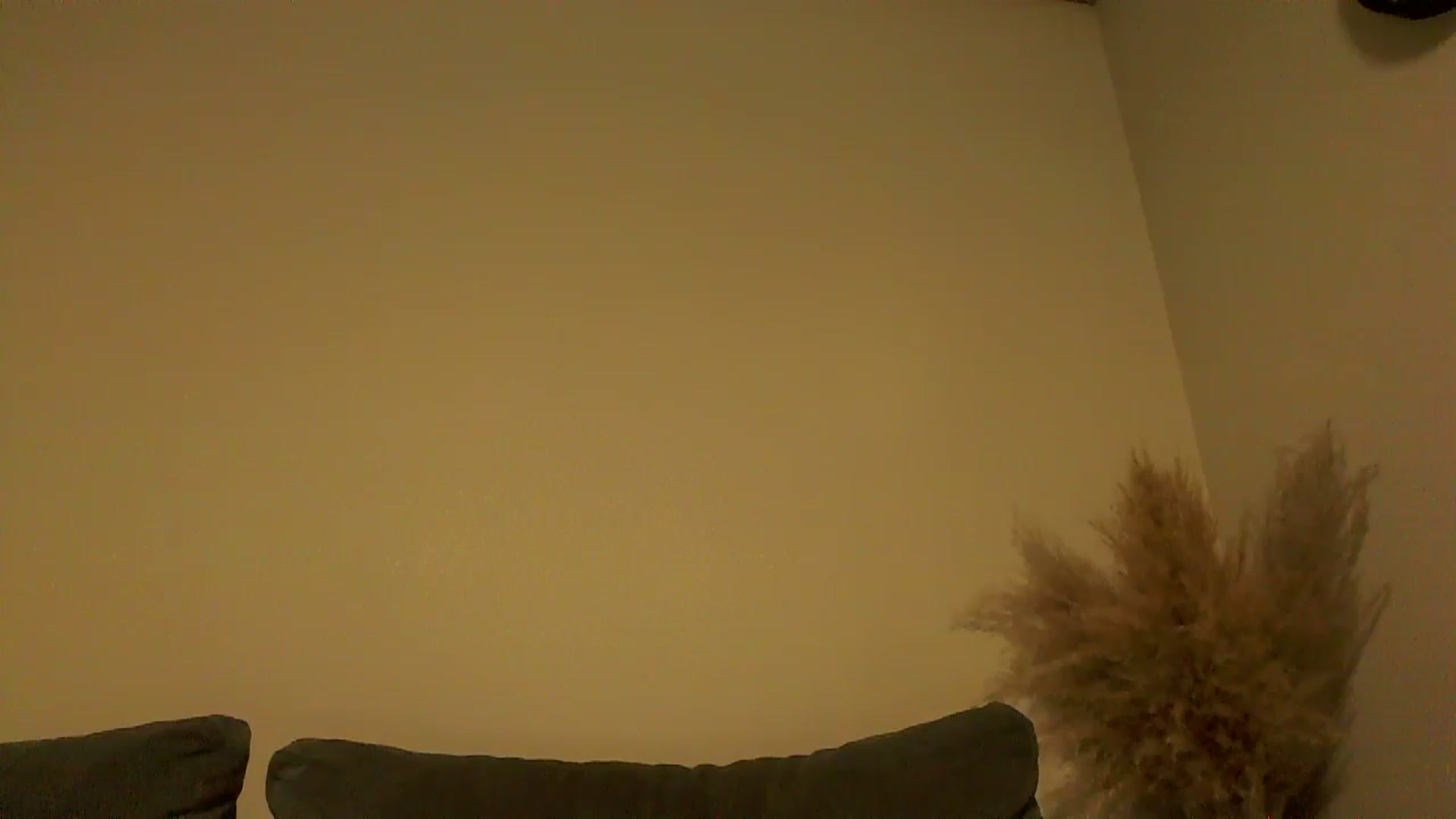 Gallery image thumbnail from TooOld4Sex's myfreecams stream on, 09/25/2024, 03:21 image 5 of 20