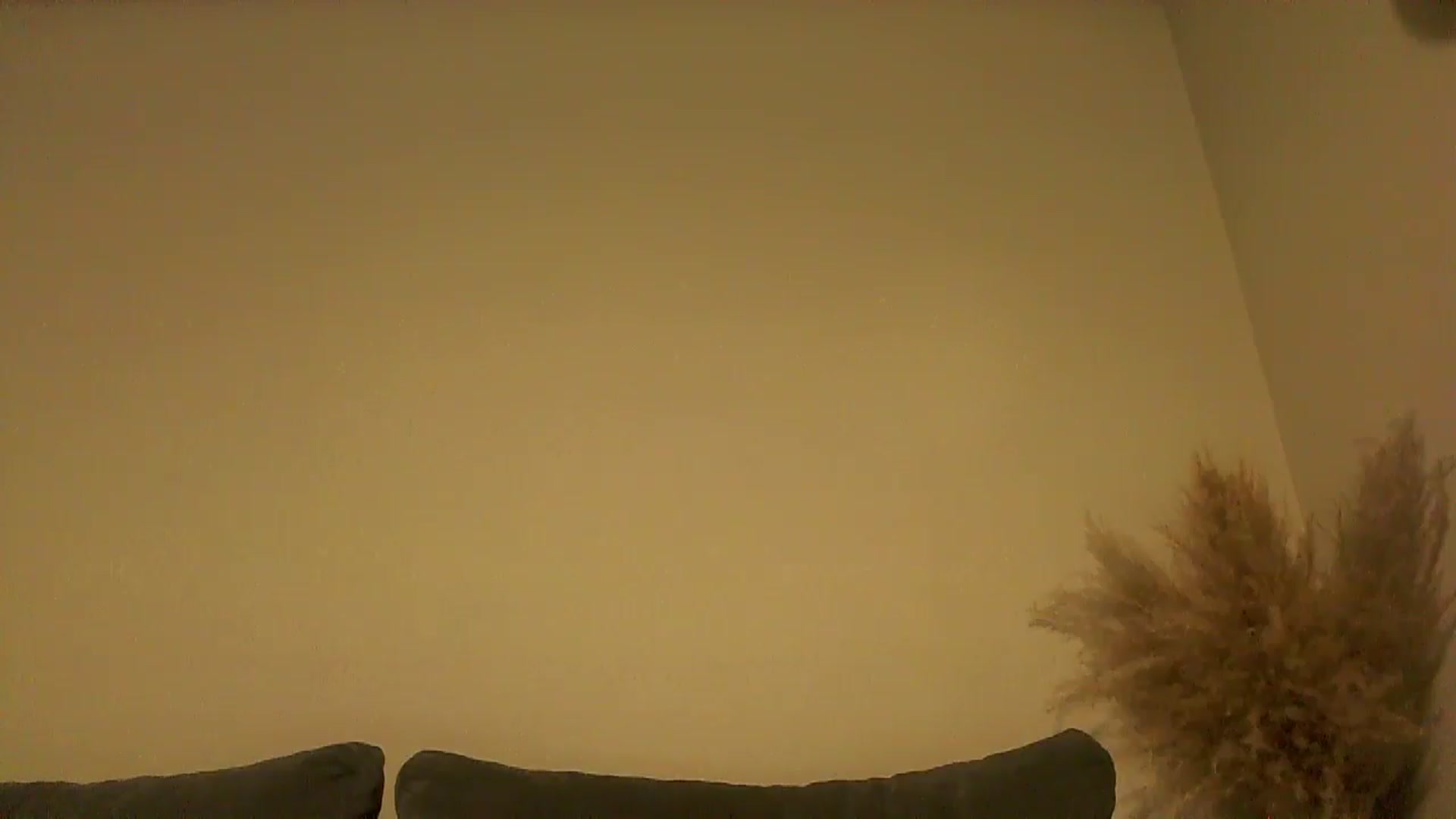 Gallery image thumbnail from TooOld4Sex's myfreecams stream on, 10/03/2024, 04:06 image 2 of 20