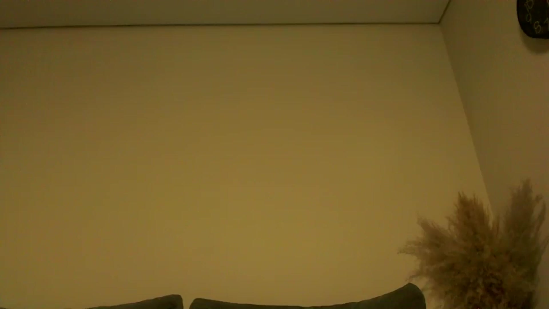 Gallery image thumbnail from TooOld4Sex's myfreecams stream on, 10/08/2024, 04:21 image 10 of 20