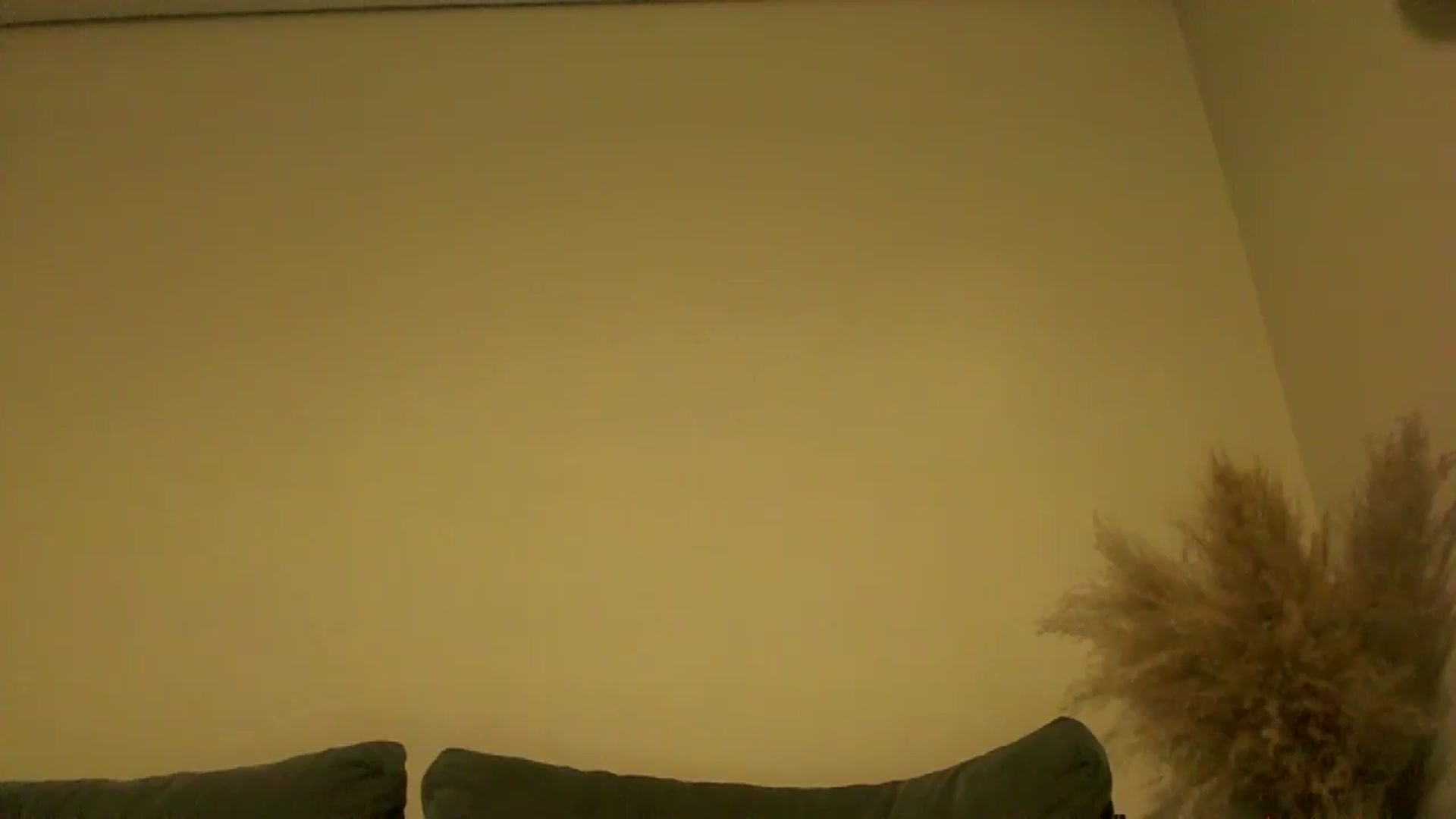 Gallery image thumbnail from TooOld4Sex's myfreecams stream on, 10/09/2024, 04:01 image 6 of 20