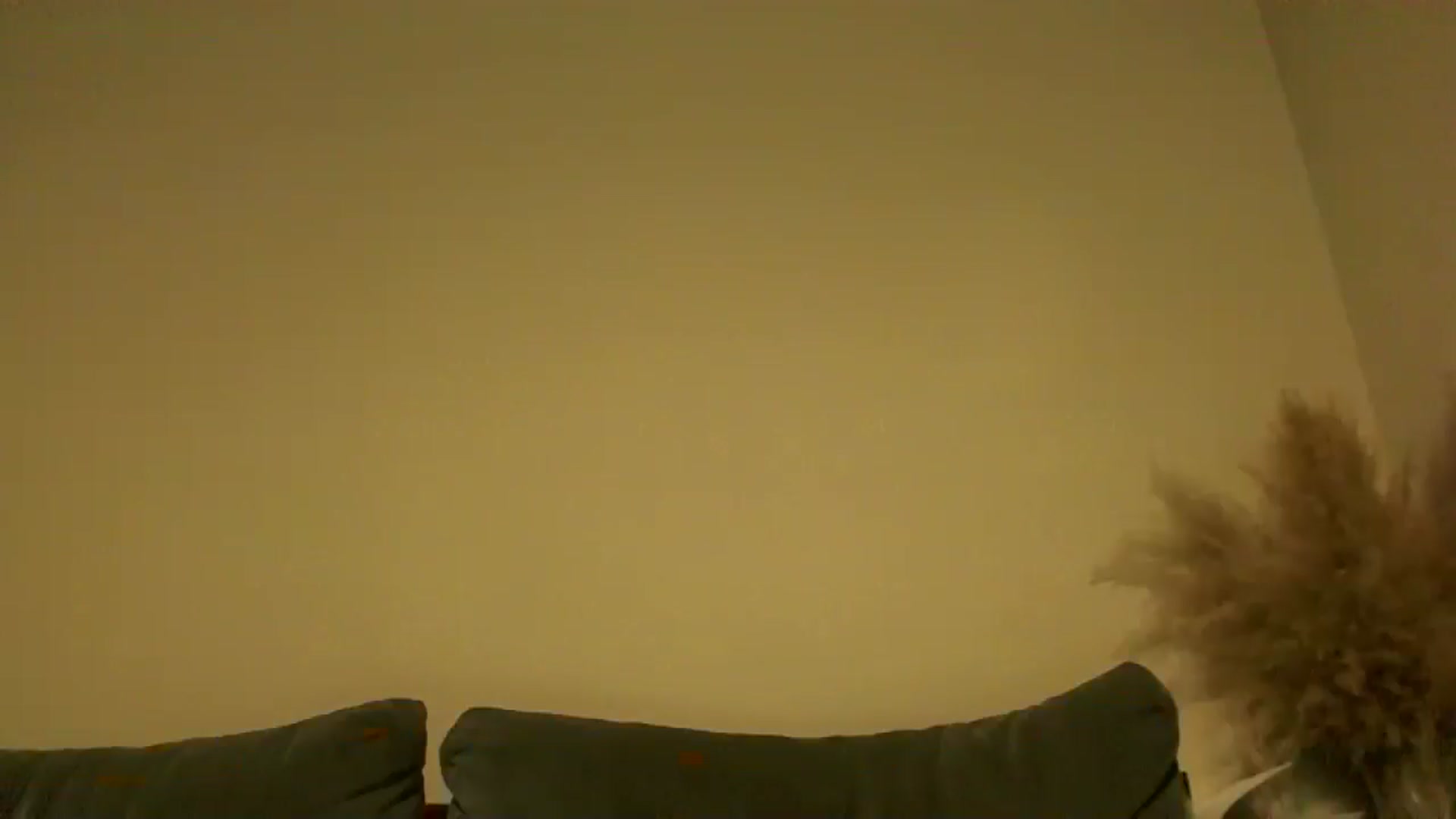 Gallery image thumbnail from TooOld4Sex's myfreecams stream on, 10/11/2024, 04:06 image 17 of 20