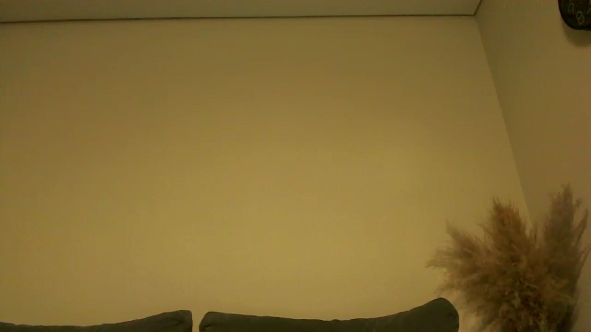 Gallery image thumbnail from TooOld4Sex's myfreecams stream on, 10/13/2024, 04:31 image 12 of 20