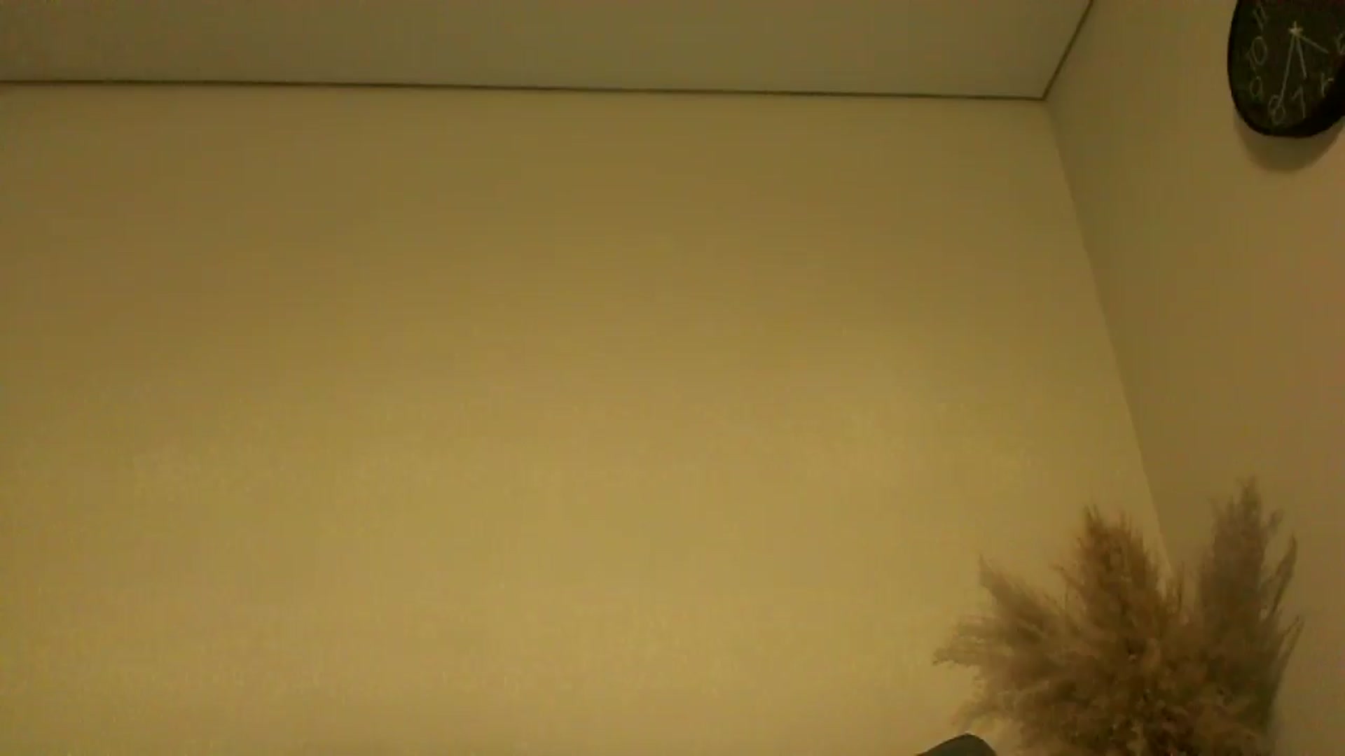 Gallery image thumbnail from TooOld4Sex's myfreecams stream on, 10/13/2024, 04:31 image 5 of 20