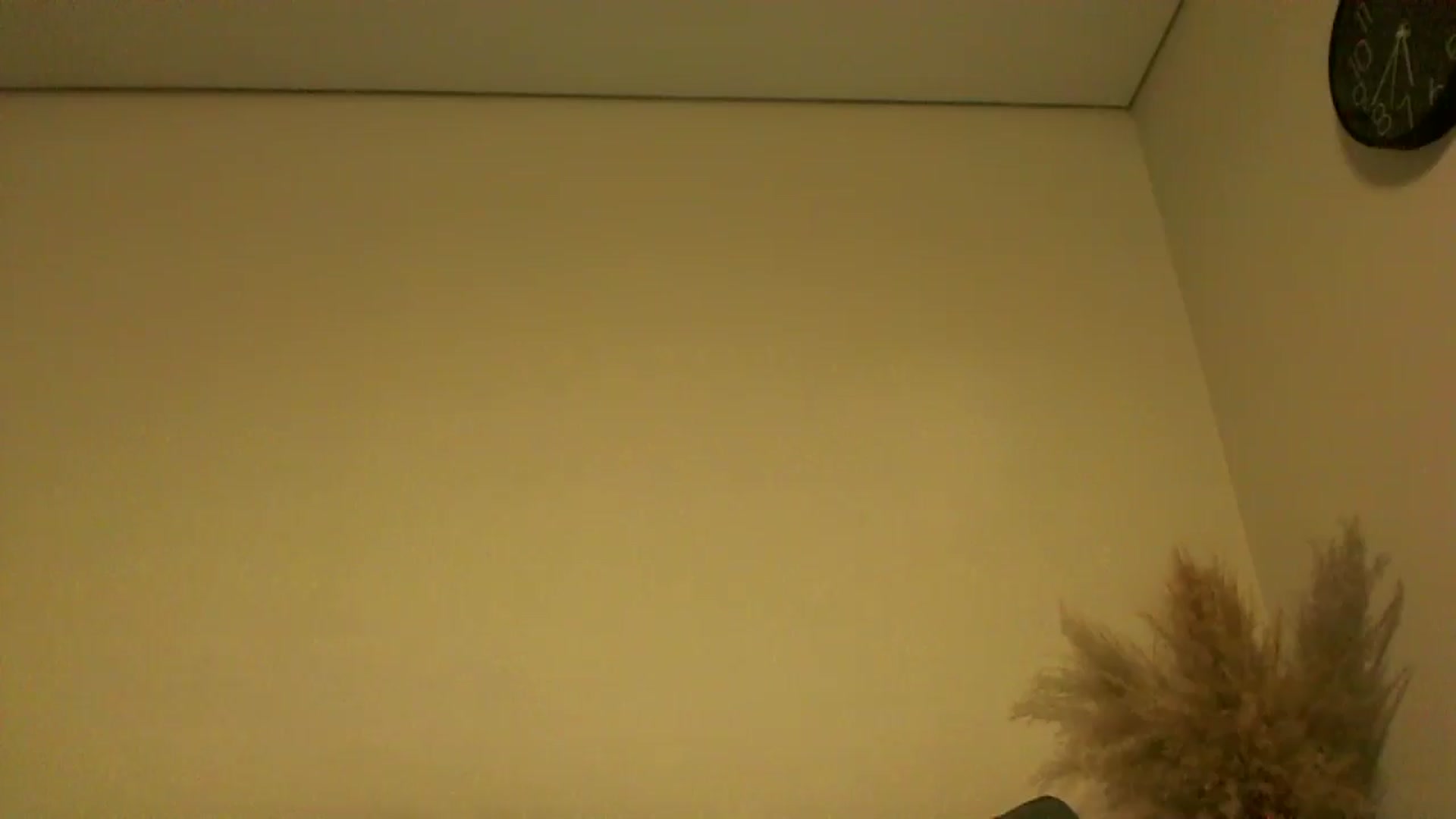 Gallery image thumbnail from TooOld4Sex's myfreecams stream on, 10/13/2024, 04:31 image 6 of 20
