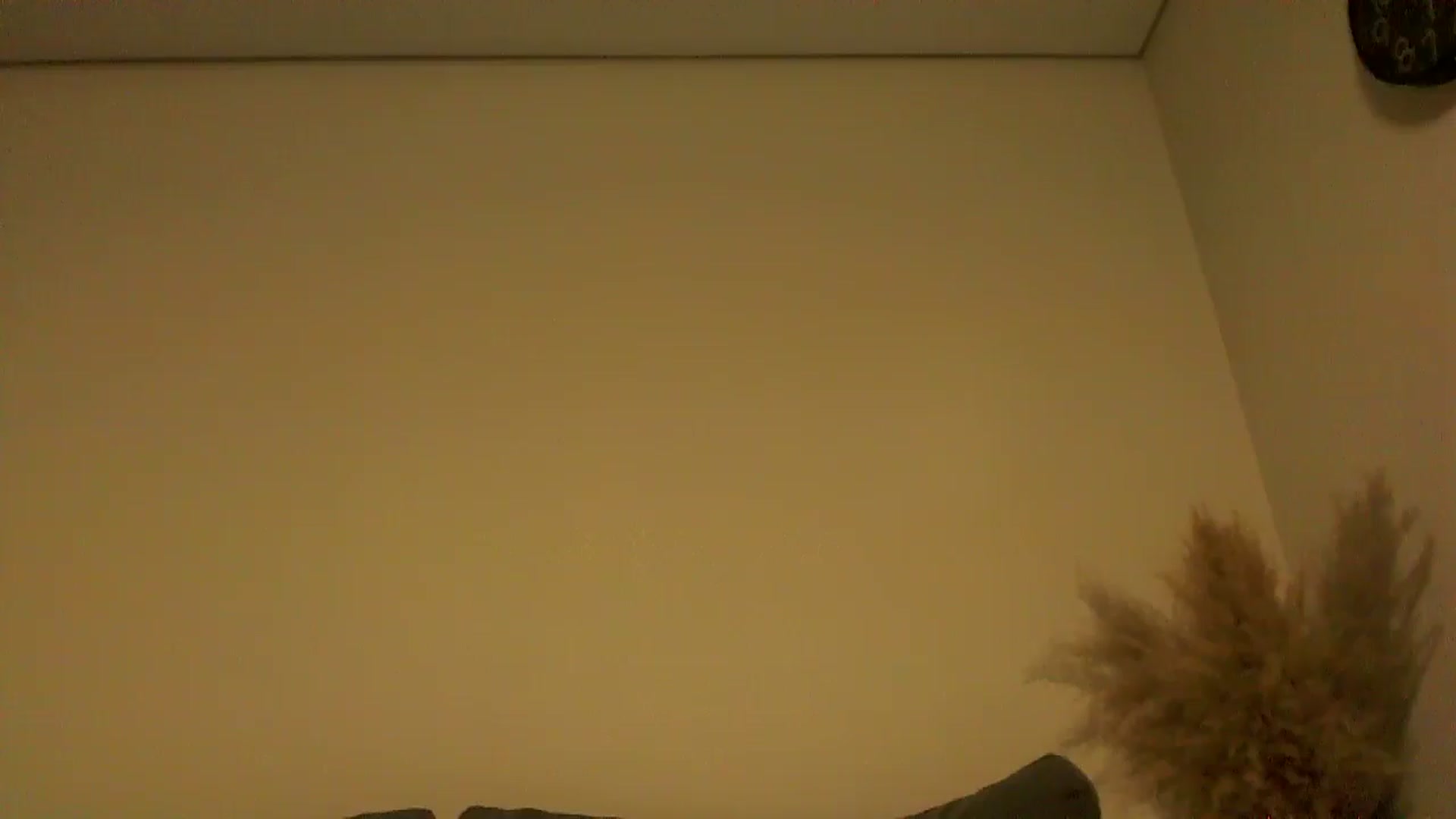 Gallery image thumbnail from TooOld4Sex's myfreecams stream on, 10/16/2024, 04:01 image 16 of 20