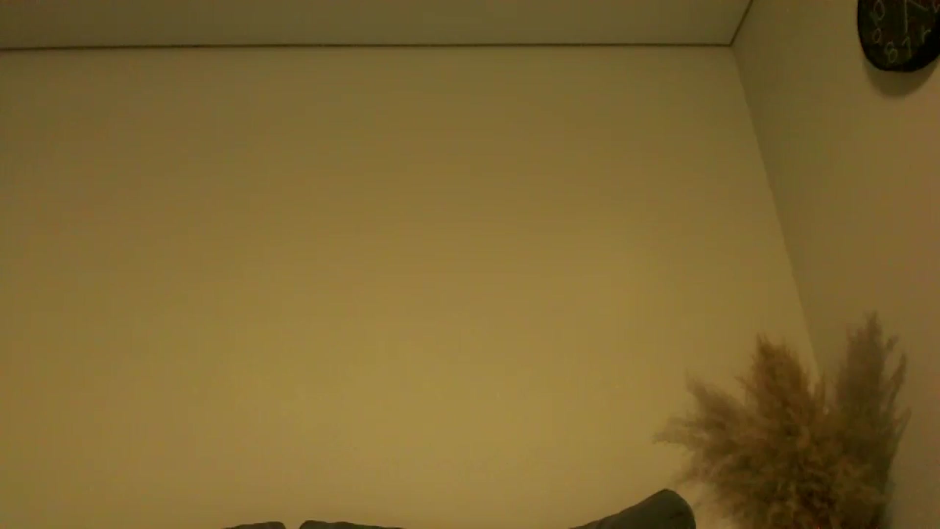 Gallery image thumbnail from TooOld4Sex's myfreecams stream on, 10/16/2024, 04:01 image 20 of 20