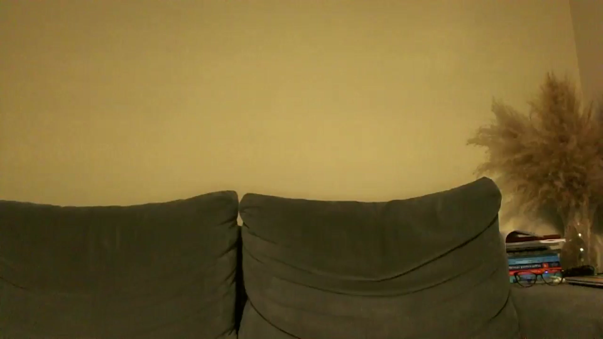 Gallery image thumbnail from TooOld4Sex's myfreecams stream on, 10/22/2024, 03:51 image 8 of 20