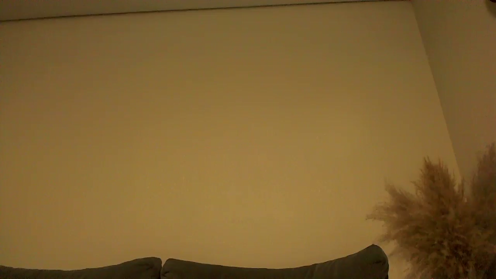 Gallery image thumbnail from TooOld4Sex's myfreecams stream on, 10/23/2024, 04:47 image 11 of 20