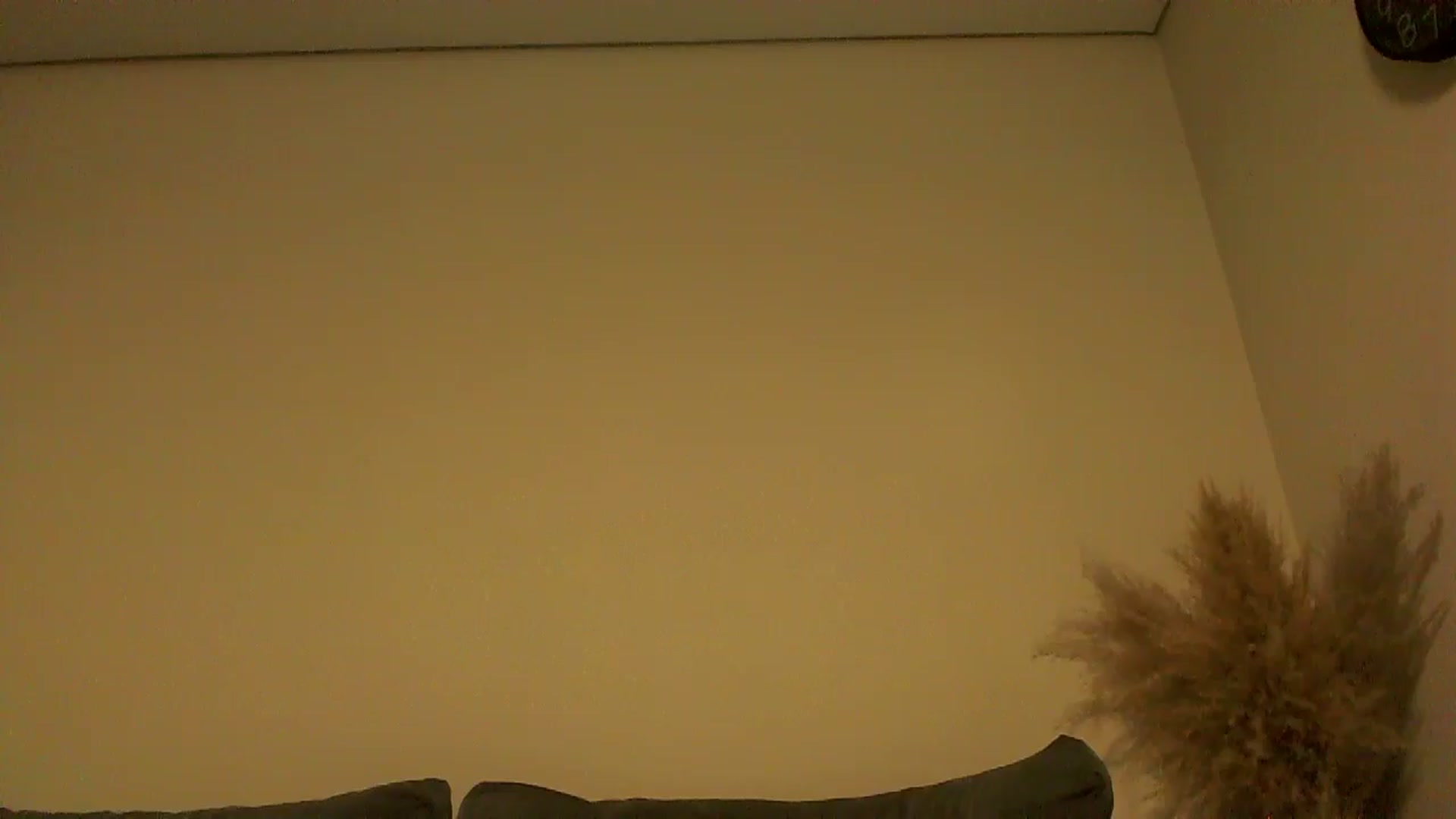 Gallery image thumbnail from TooOld4Sex's myfreecams stream on, 10/31/2024, 04:21 image 15 of 20