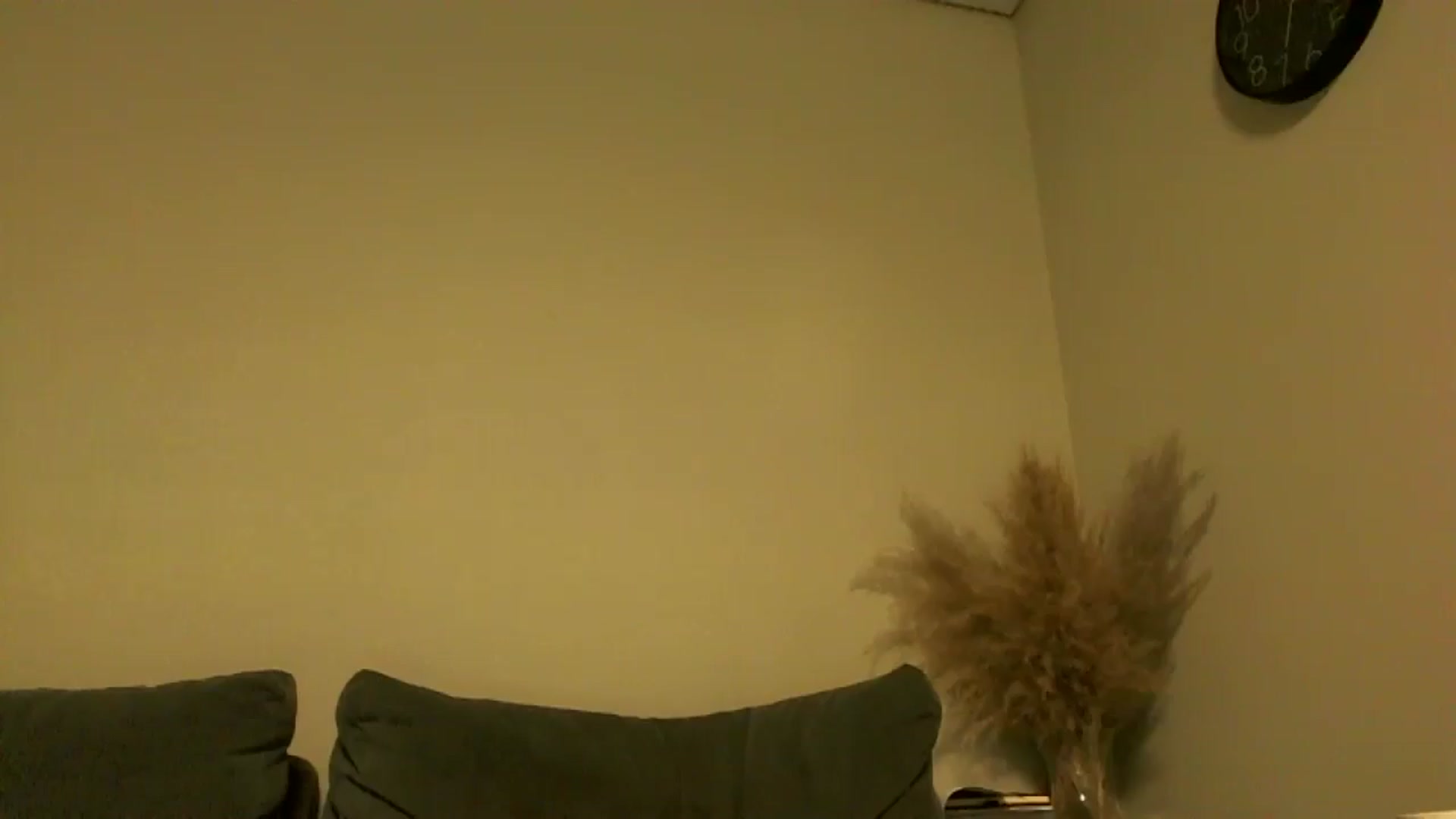 Gallery image thumbnail from TooOld4Sex's myfreecams stream on, 11/01/2024, 06:39 image 5 of 20