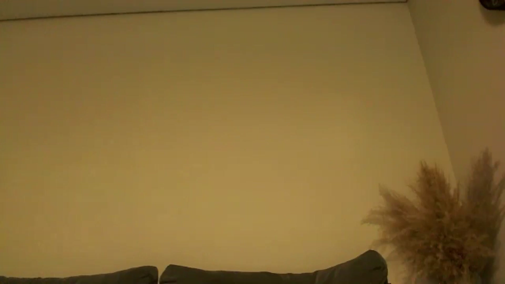 Gallery image thumbnail from TooOld4Sex's myfreecams stream on, 11/02/2024, 05:47 image 15 of 20