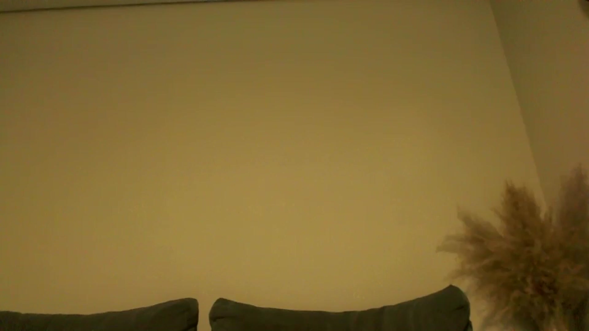 Gallery image thumbnail from TooOld4Sex's myfreecams stream on, 11/12/2024, 05:44 image 14 of 20