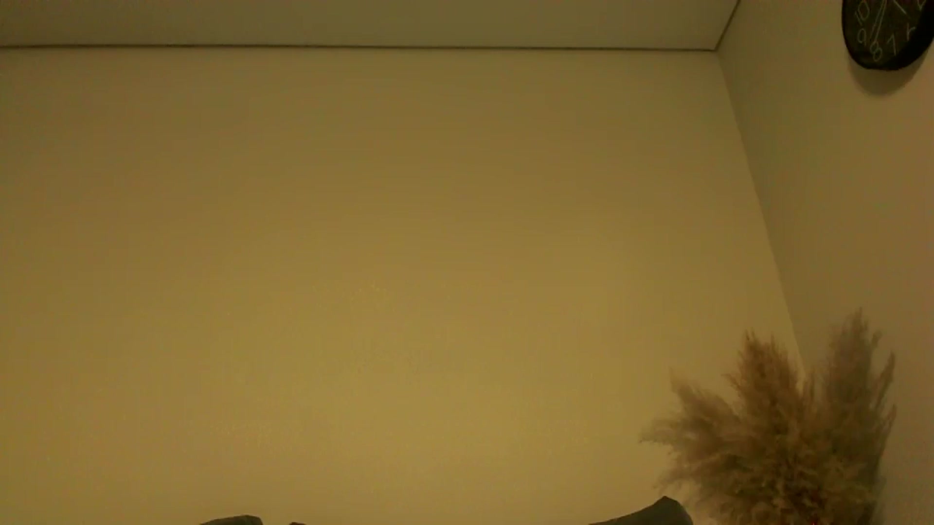 Gallery image thumbnail from TooOld4Sex's myfreecams stream on, 11/27/2024, 04:38 image 6 of 20