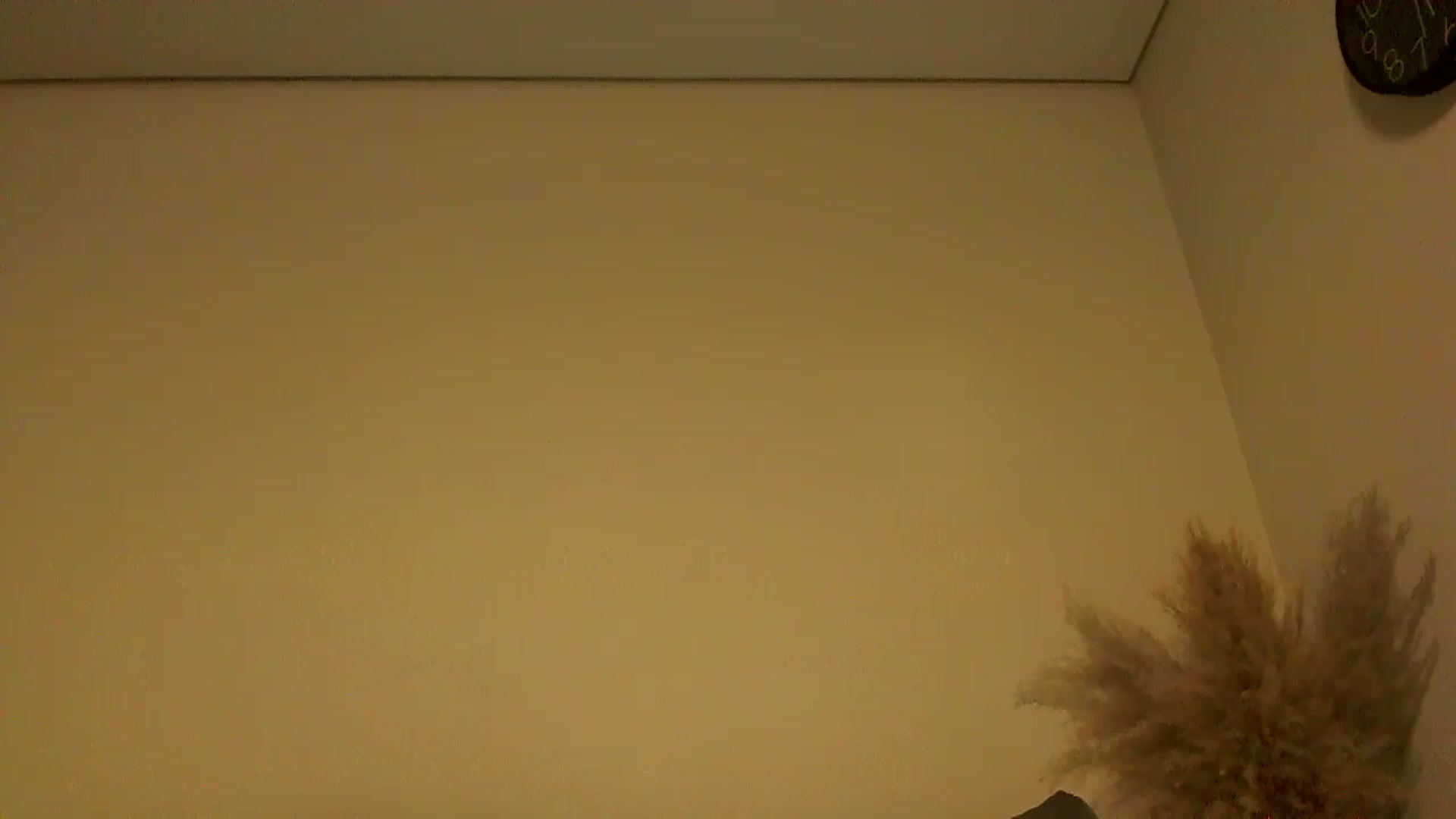Gallery image thumbnail from TooOld4Sex's myfreecams stream on, 11/27/2024, 04:38 image 17 of 20