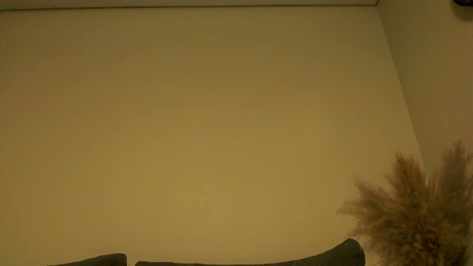Gallery image thumbnail from TooOld4Sex's myfreecams stream on, 12/02/2024, 05:25 image 18 of 20