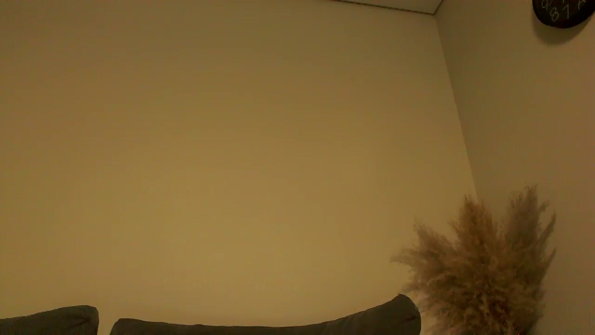 Gallery image thumbnail from TooOld4Sex's myfreecams stream on, 12/09/2024, 05:37 image 20 of 20