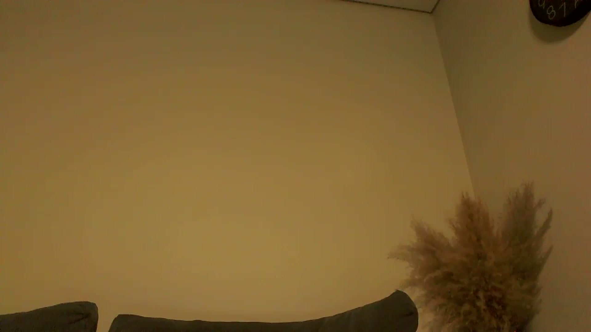 Gallery image thumbnail from TooOld4Sex's myfreecams stream on, 12/09/2024, 05:37 image 17 of 20