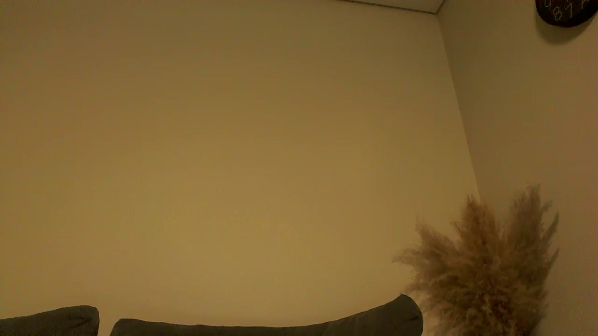 Gallery image thumbnail from TooOld4Sex's myfreecams stream on, 12/09/2024, 05:37 image 18 of 20
