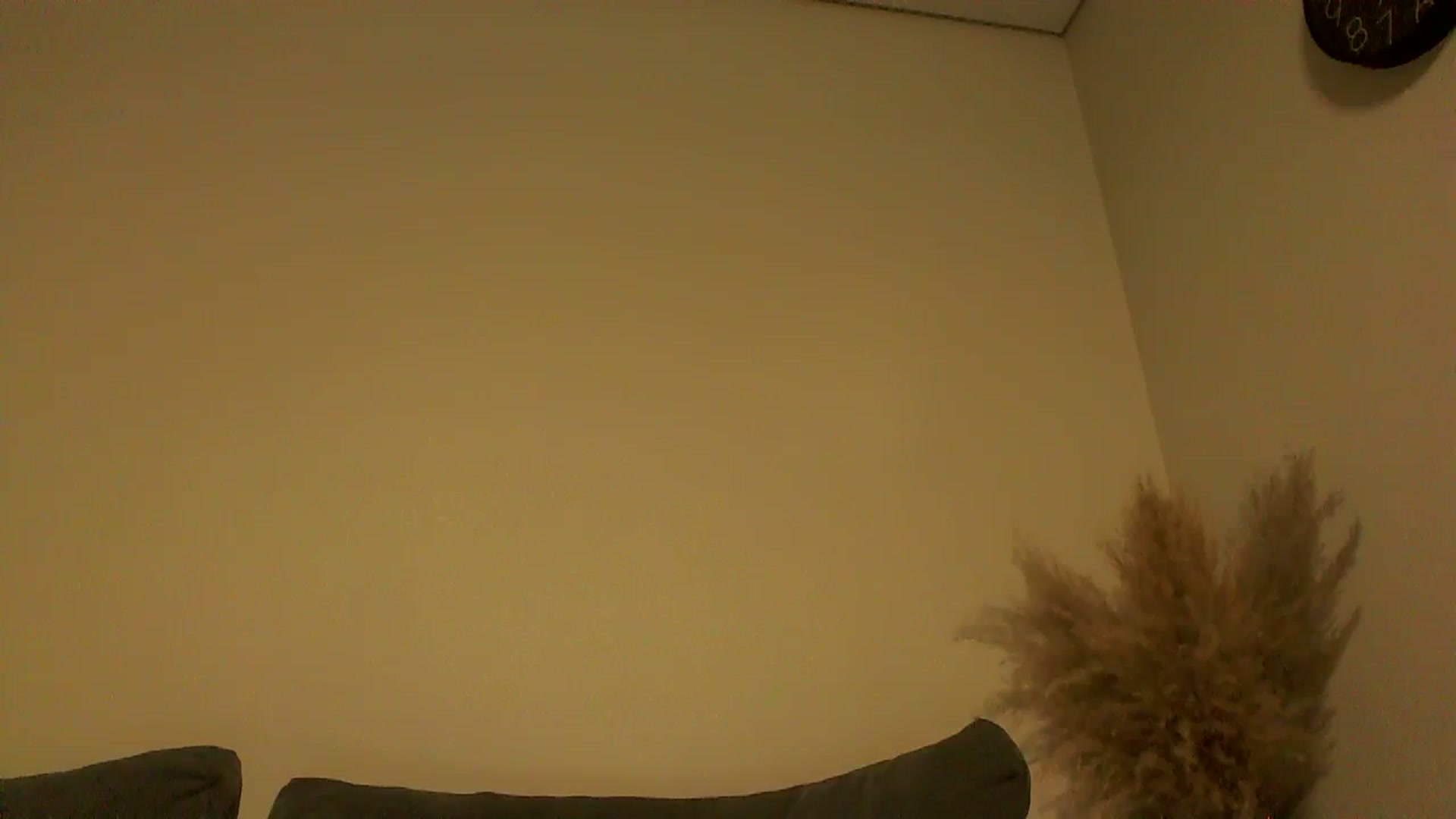 Gallery image thumbnail from TooOld4Sex's myfreecams stream on, 12/09/2024, 05:37 image 19 of 20