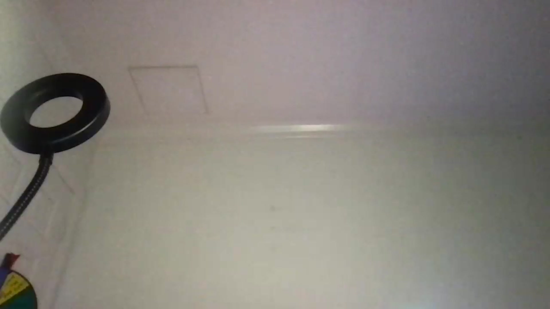 Gallery image thumbnail from ToriMcQueen's myfreecams stream on, 07/08/2026, 17:23 image 7 of 20