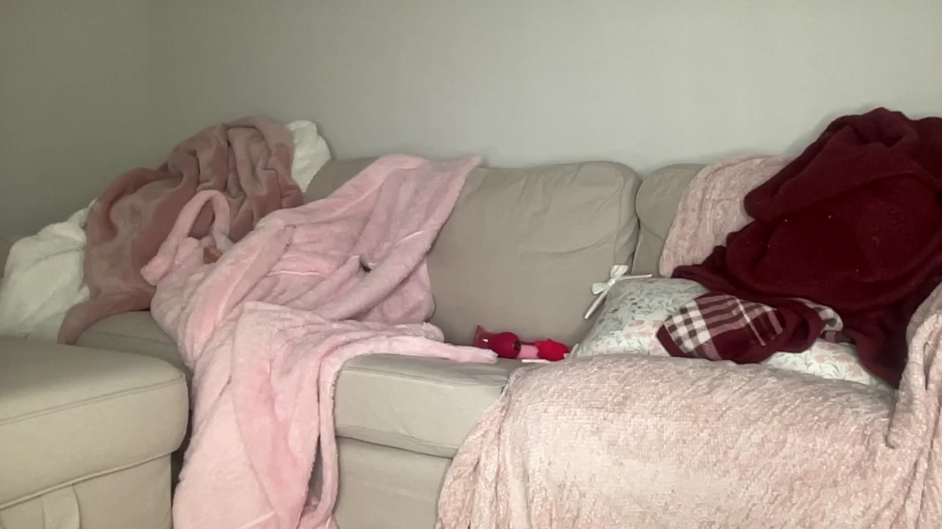 Gallery image thumbnail from Torisweetxo's myfreecams stream on, 02/03/2025, 05:46 image 7 of 20