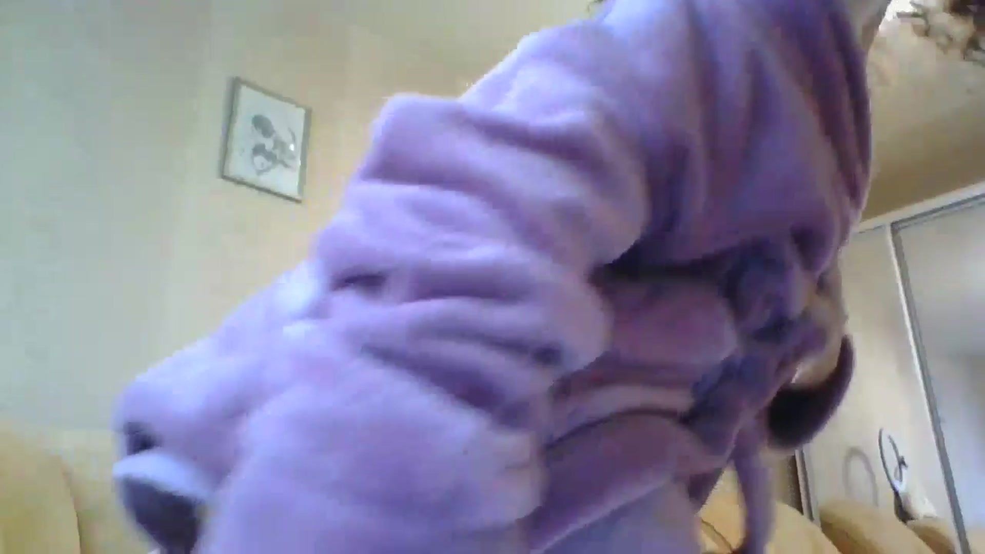 Gallery image thumbnail from TorryDeville's myfreecams stream on, 12/24/2024, 10:19 image 14 of 20
