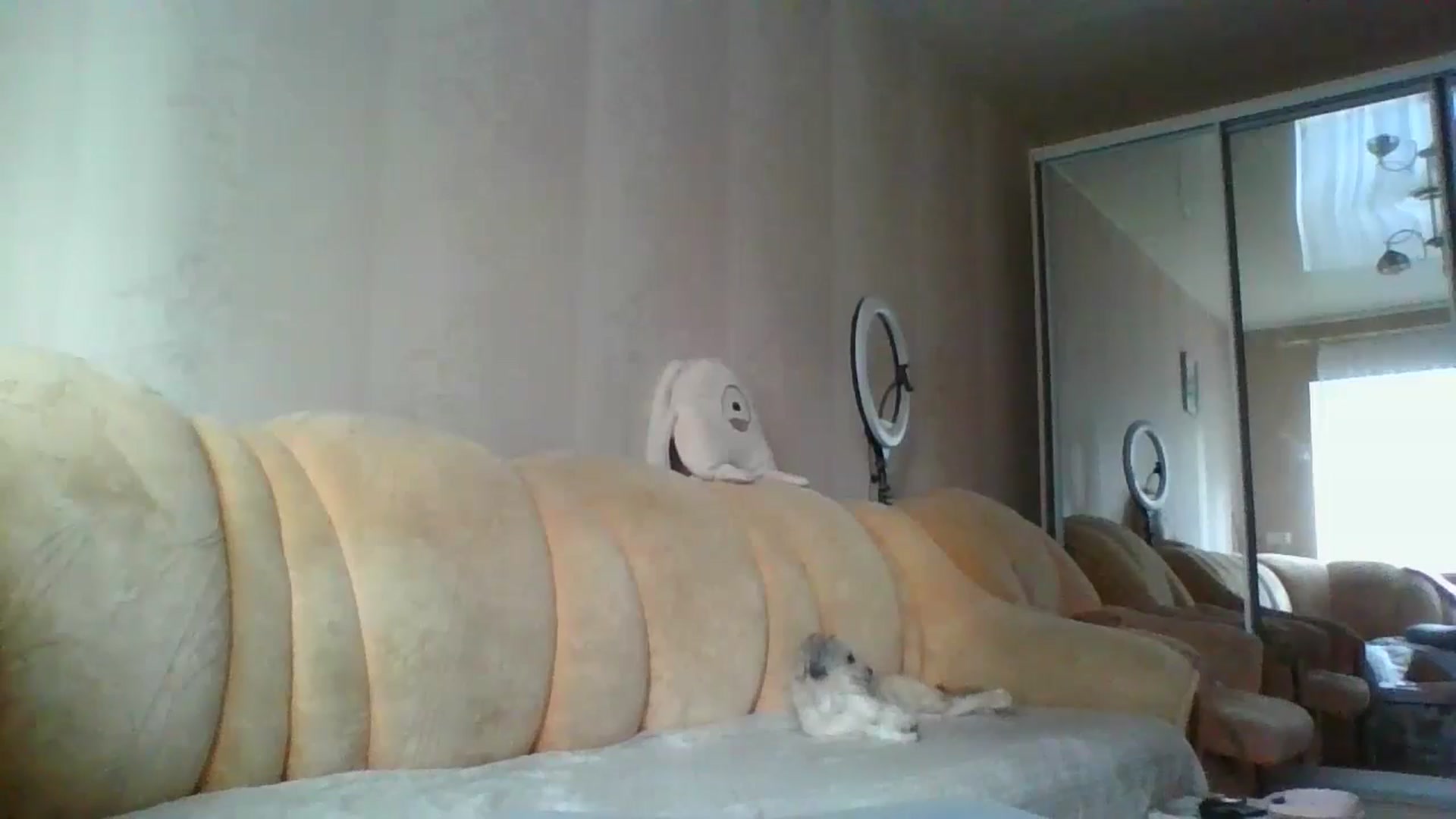 Gallery image thumbnail from TorryDeville's myfreecams stream on, 01/01/2025, 13:22 image 17 of 20