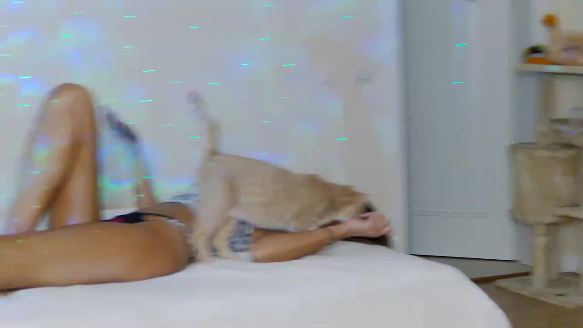 Gallery image thumbnail from TotalBella's myfreecams stream on, 11/15/2022, 01:05 image 12 of 20