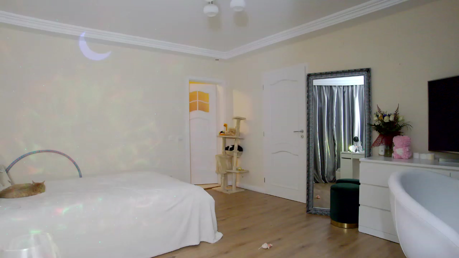 Gallery image thumbnail from TotalBella's myfreecams stream on, 11/15/2022, 22:08 image 1 of 20