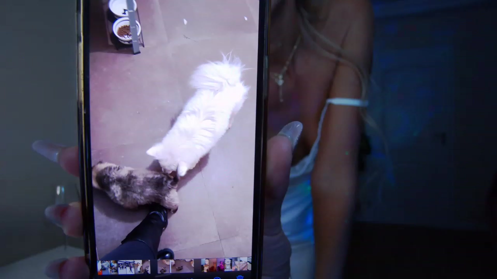 Gallery image thumbnail from TotalBella's myfreecams stream on, 02/02/2023, 24:35 image 19 of 20