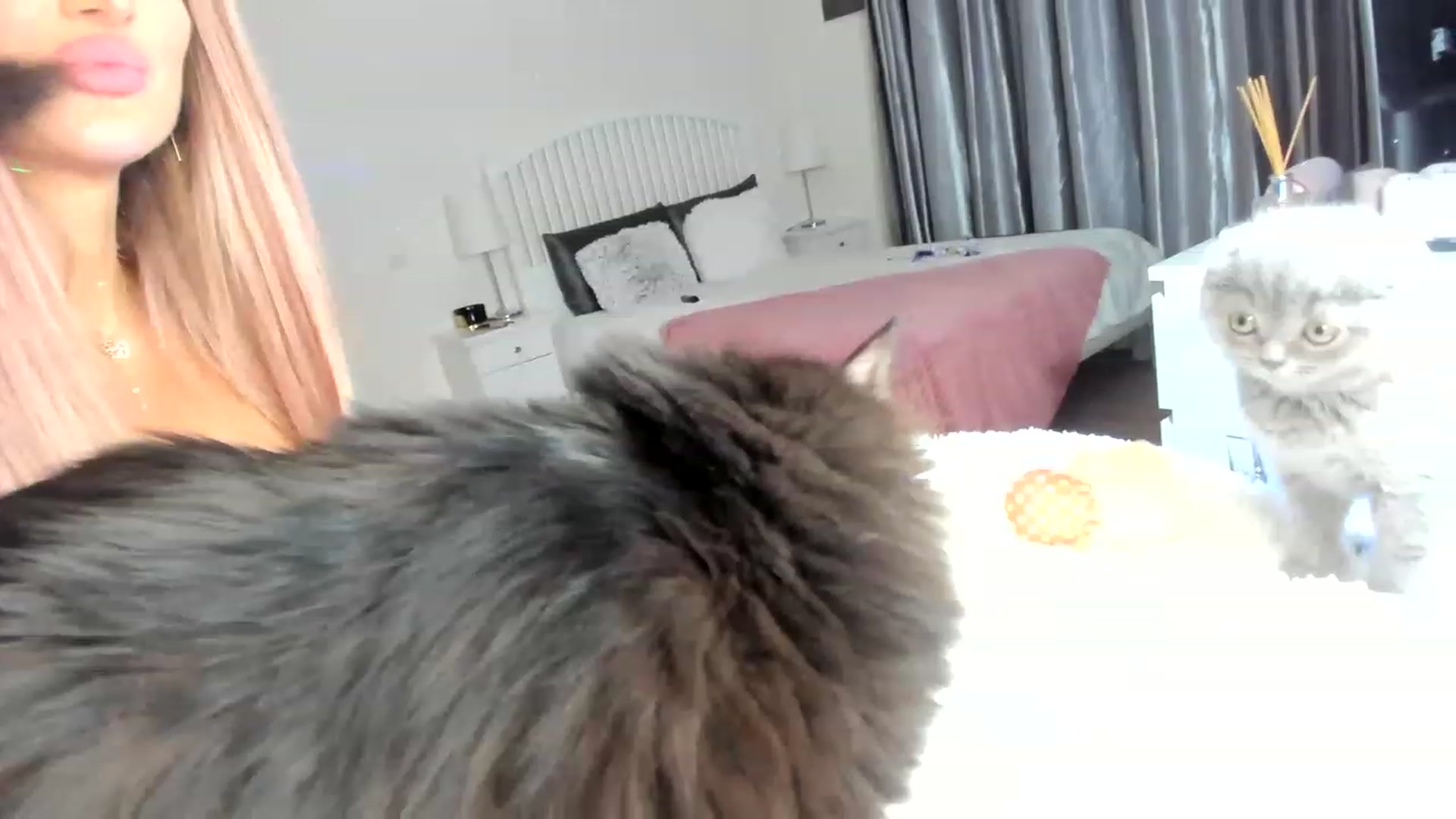 Gallery image thumbnail from TotalBella's myfreecams stream on, 05/17/2023, 22:30 image 3 of 20
