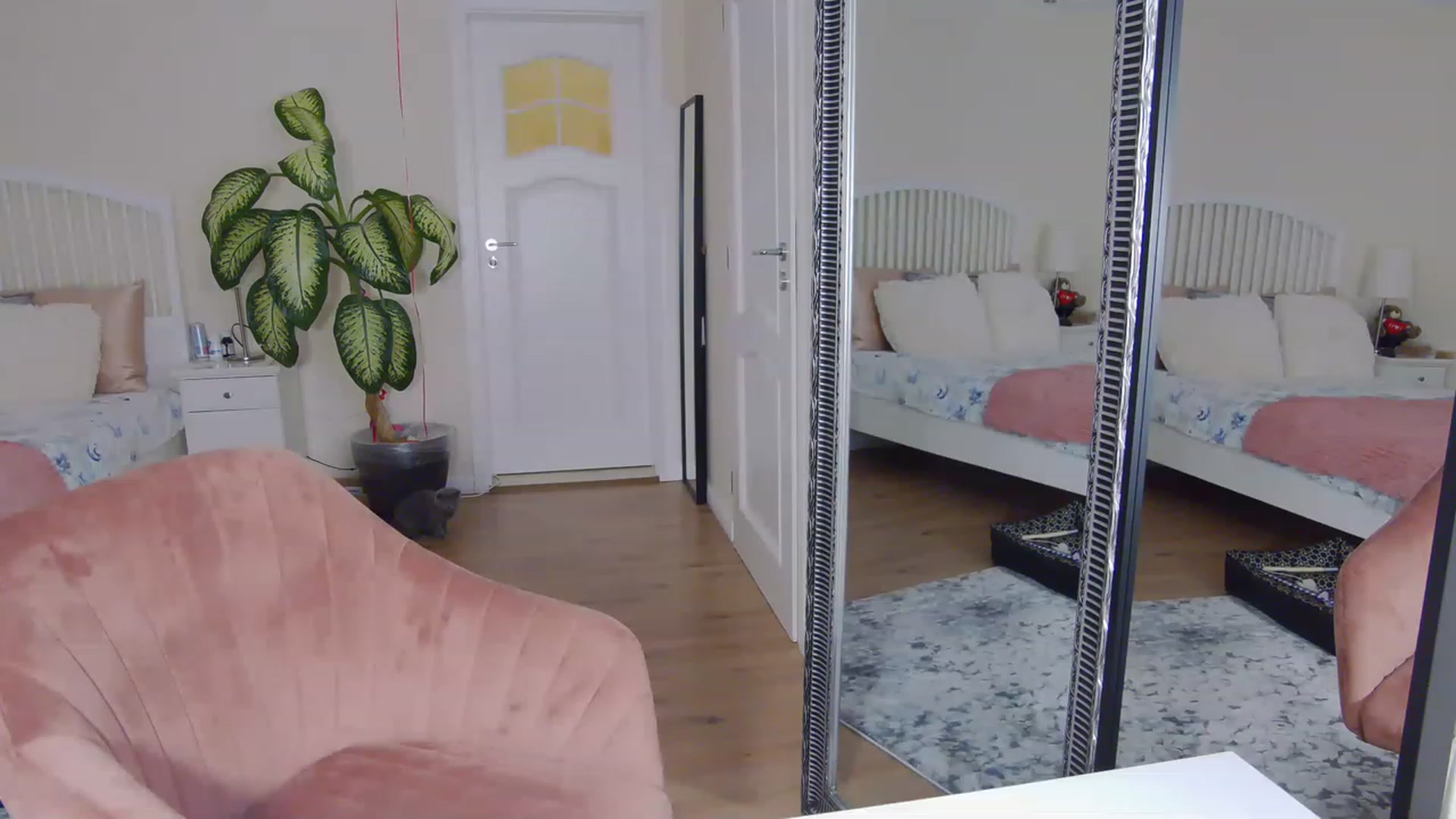 Gallery image thumbnail from TotalBella's myfreecams stream on, 06/19/2023, 23:56 image 16 of 20