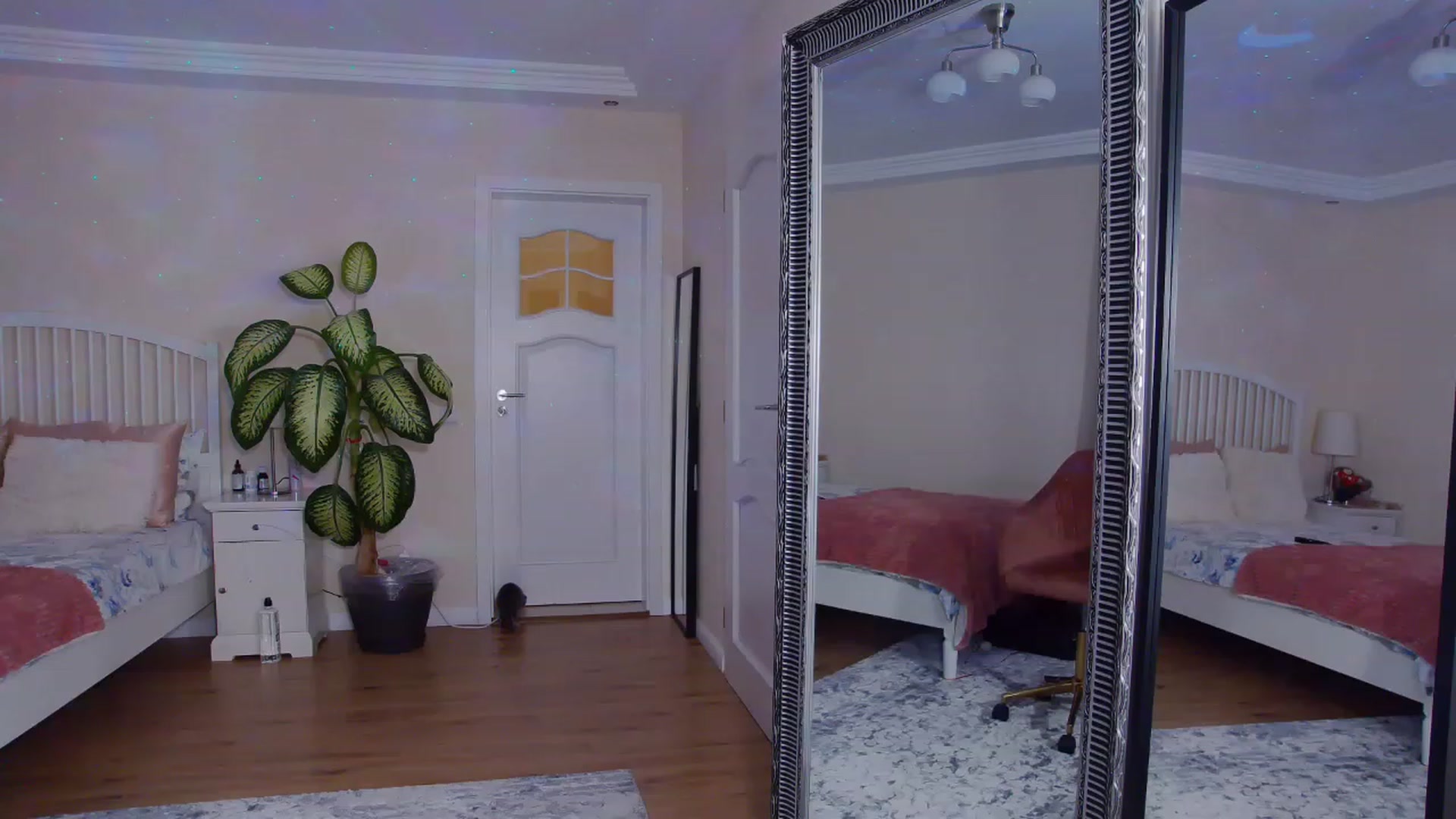 Gallery image thumbnail from TotalBella's myfreecams stream on, 06/27/2023, 23:48 image 17 of 20