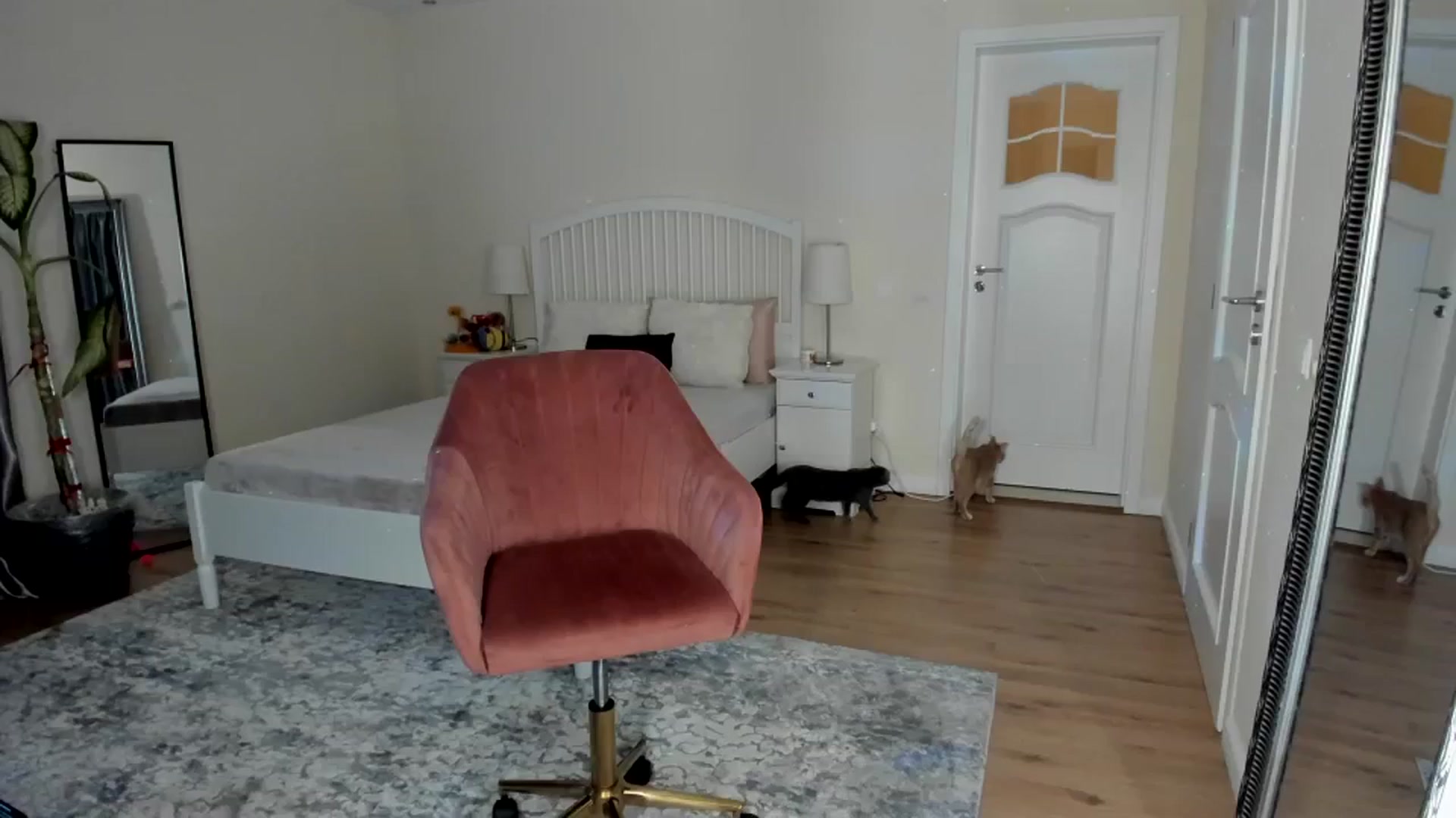 Gallery image thumbnail from TotalBella's myfreecams stream on, 08/30/2023, 23:25 image 13 of 20
